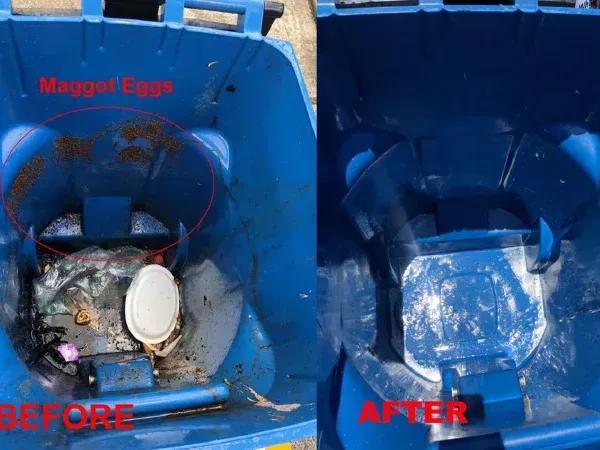 Trash bin cleaning before and after showing removal of maggots and heavy buildup