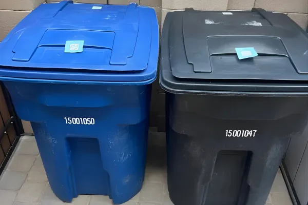Dirty Trash Cans in Edwardsville, KS: Health Risks & Cleaning Solutions for Homeowners