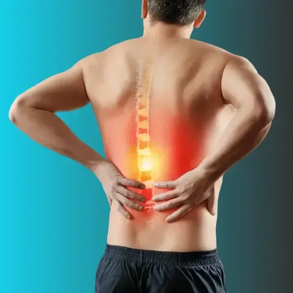 Chiropractor in Novato, CA