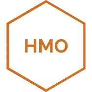 orange hexagon with HMO text
