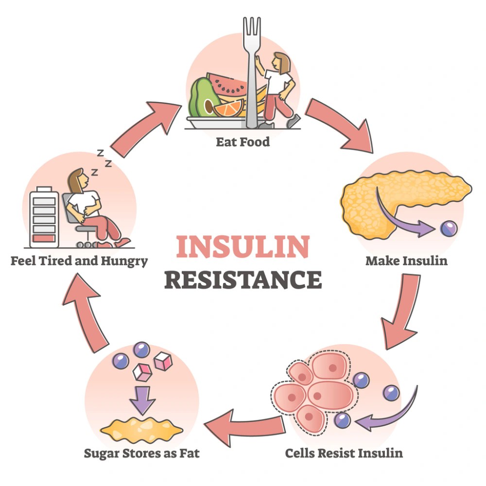 Heard of Insulin Resistance but not sure if you have it? Find out here.