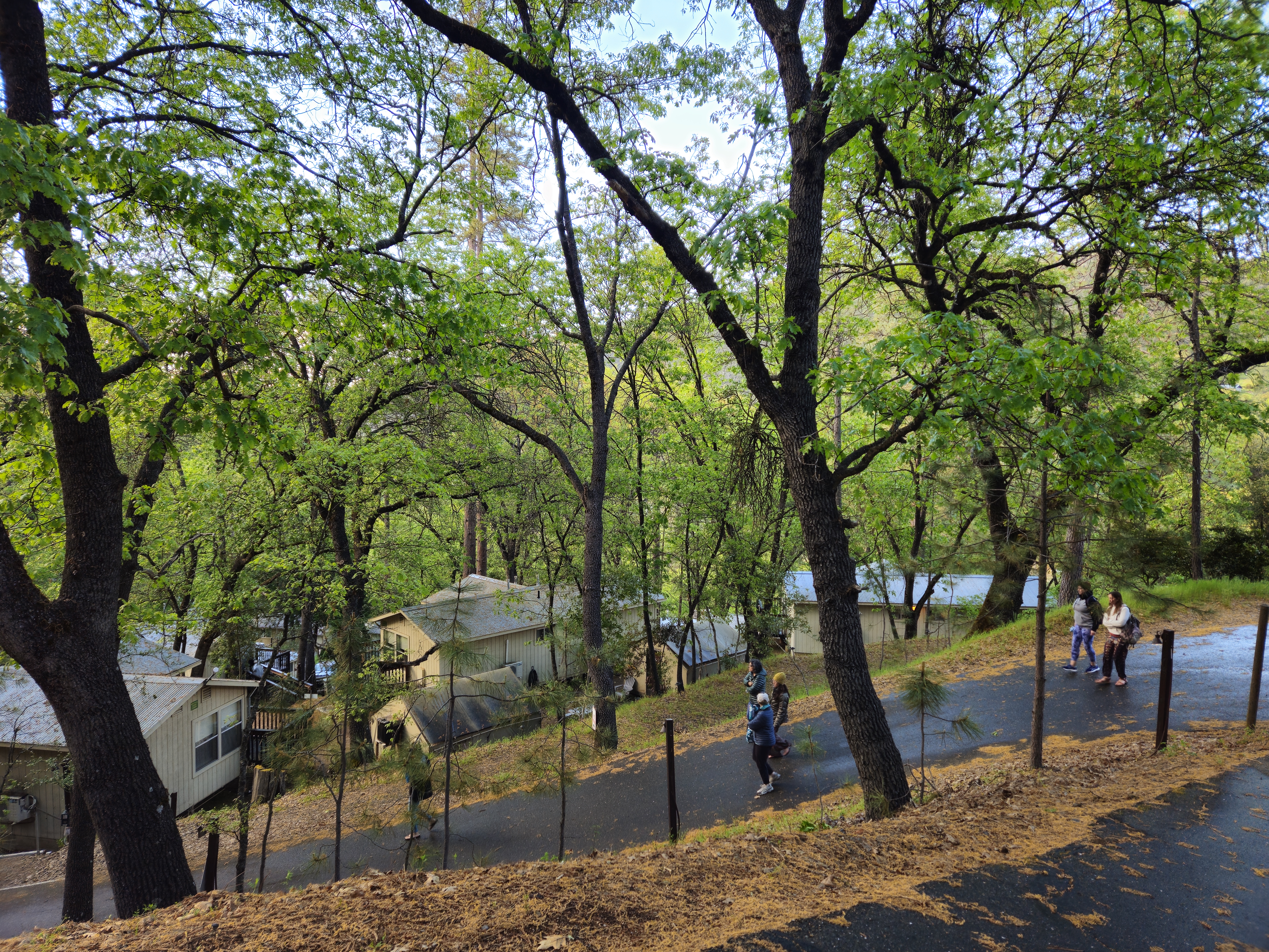 Women’s wellness retreat group hiking