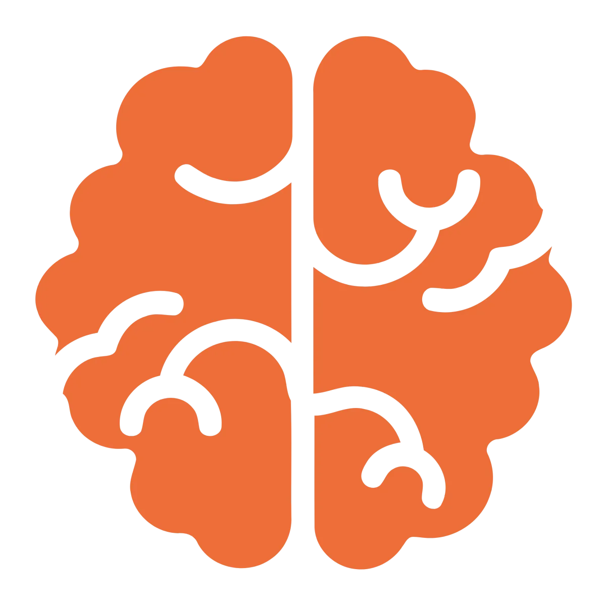 Icon - Holistic Developmental Approach