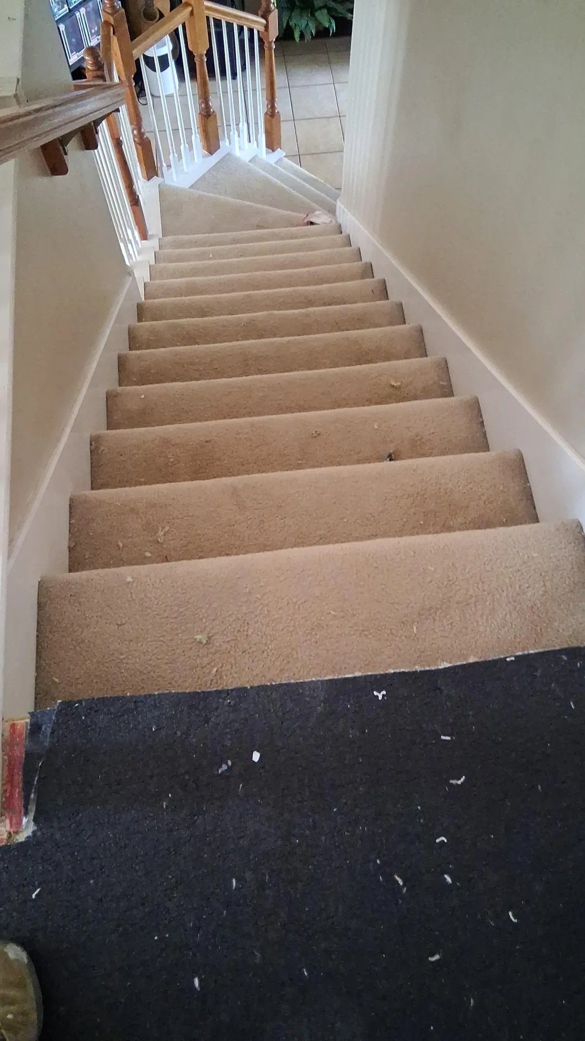 Painting Preston Hollow