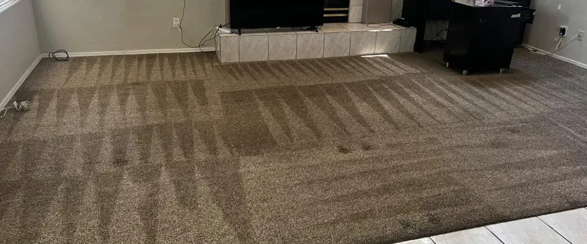 Deep carpet cleaning in Phoenix showing professional steam extraction results
