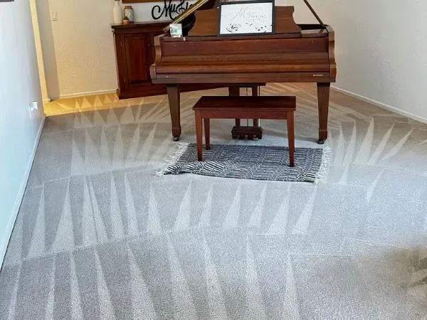 Carpet cleaning in Phoenix with fresh vacuum lines and deep steam extraction
