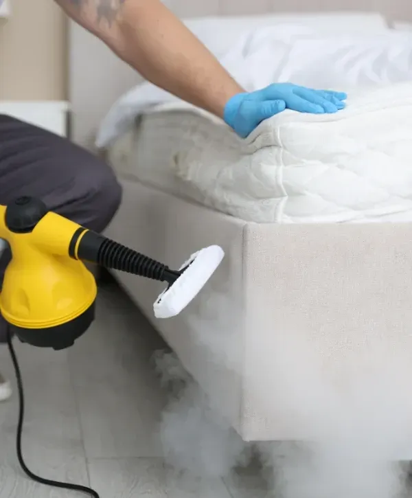 Professional steam mattress cleaning service in Phoenix removing stains and bacteria