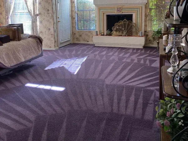 Freshly cleaned purple carpet
