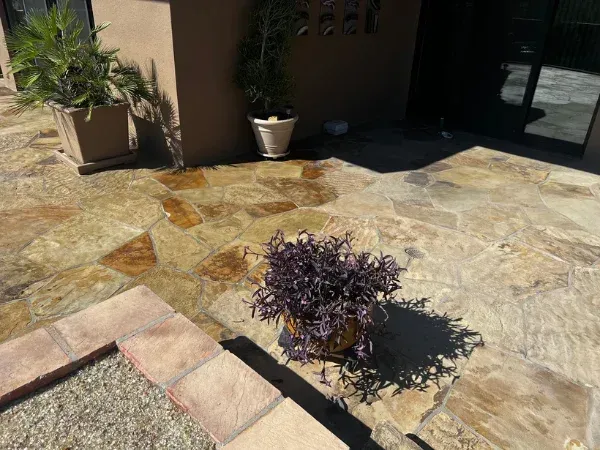 A natural stone patio with varied flagstones, featuring several potted plants and shadows from sunlight.