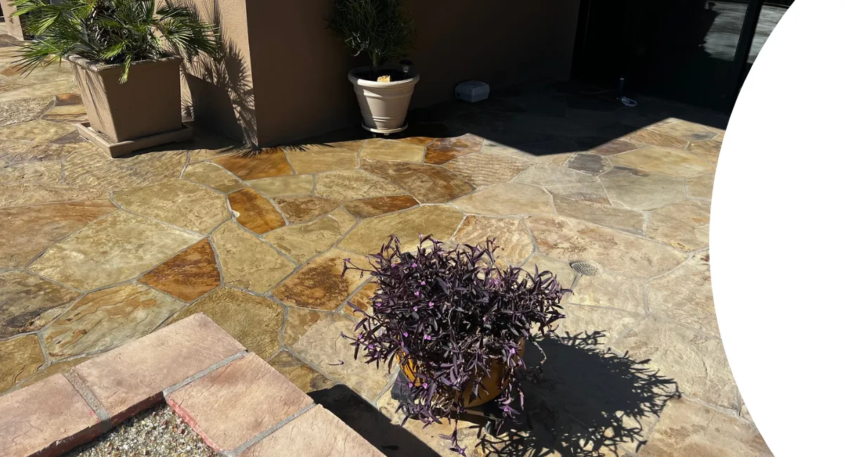 A natural stone patio with varied flagstones, featuring several potted plants and shadows from sunlight.