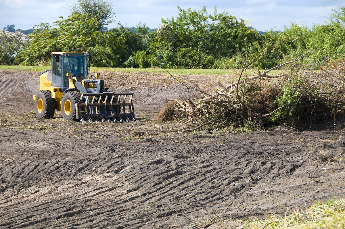 Oak Harbor Site Prep and Land Clearing