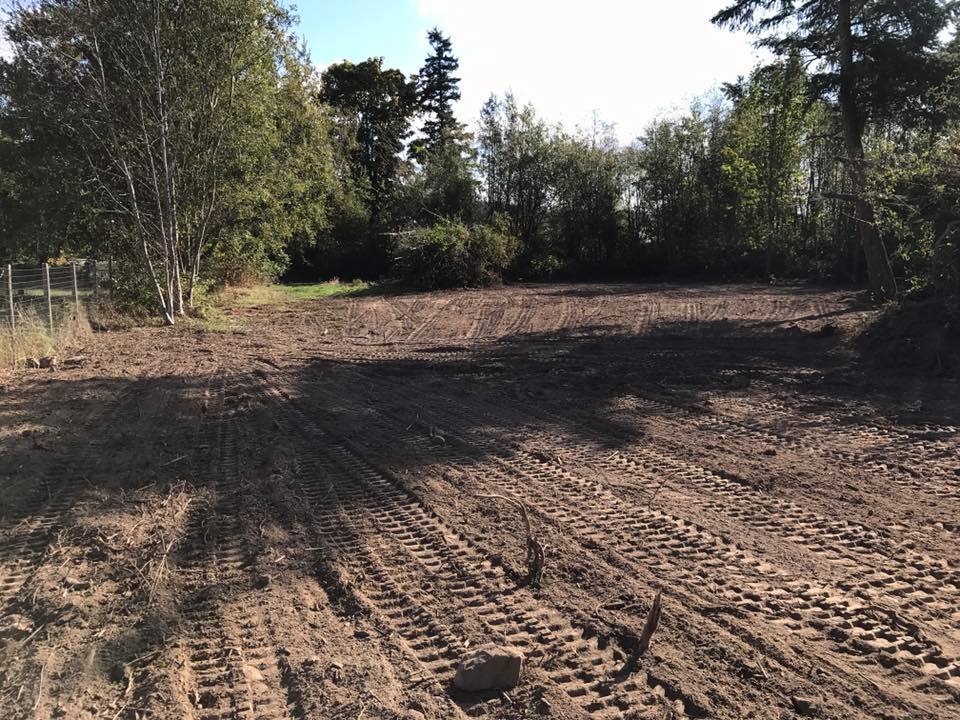 Demolition and Removal Mount Vernon