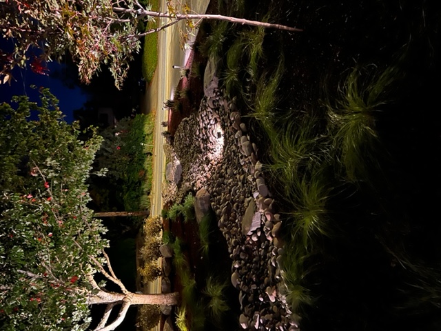 dry river bed with night lighting