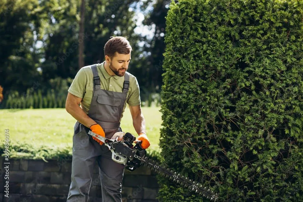 Tree Trimming Services