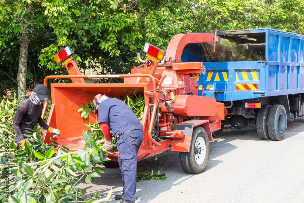 Tree Removal Services