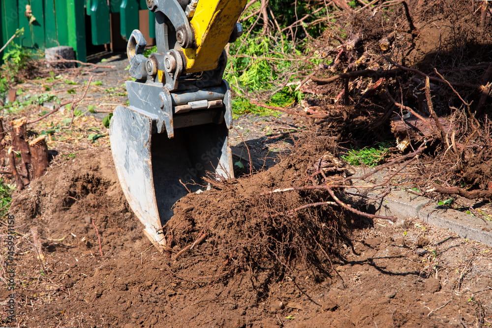 Stump Grinding Services