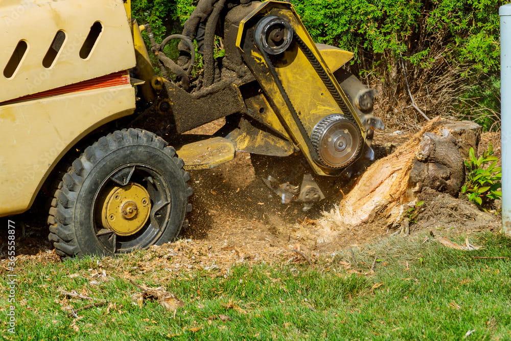 Stump Removal Services