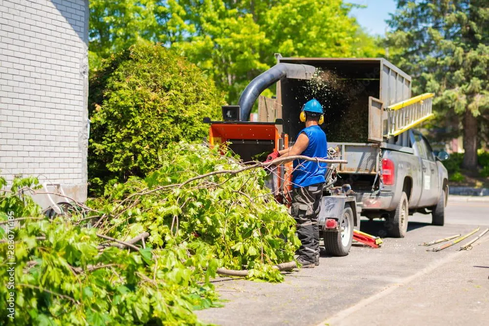 Mulching Services