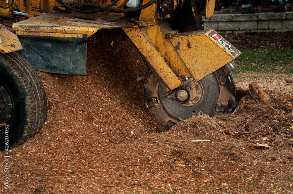 Stump Grinding Services