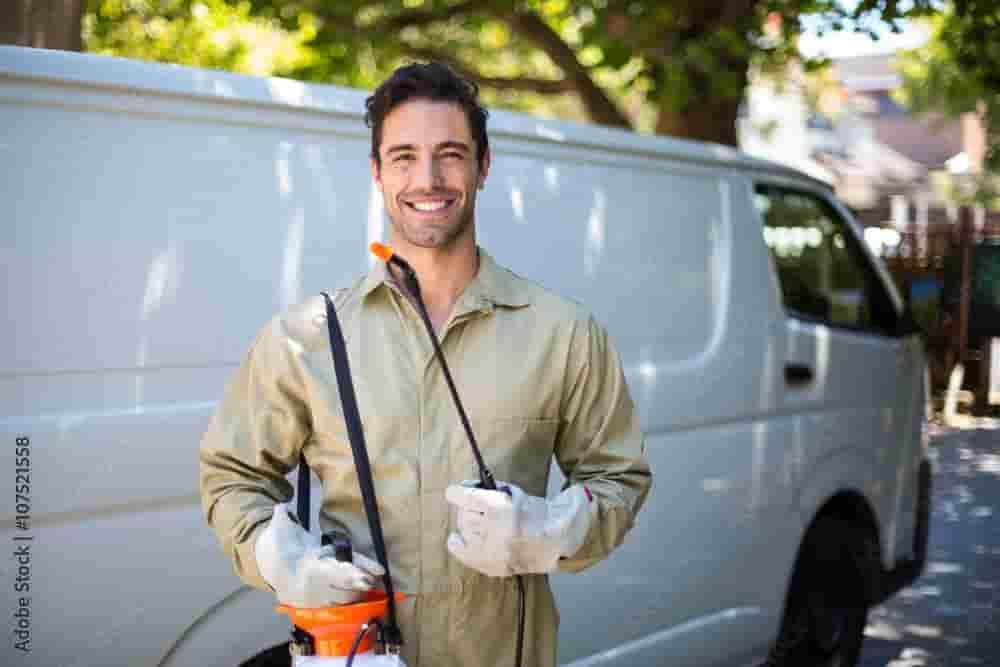 Emergency Pest Control Services