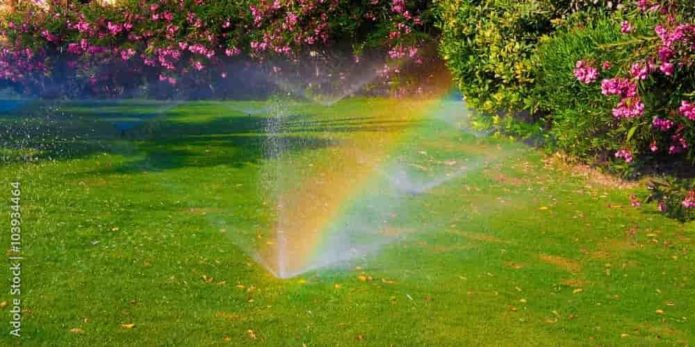 Sprinkler Services