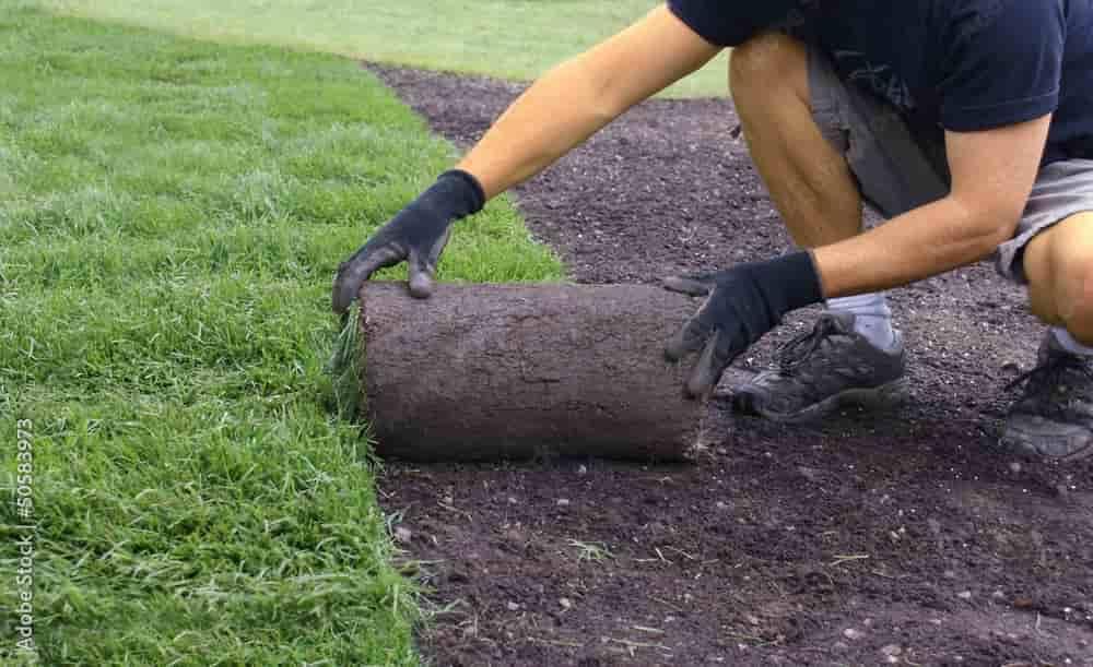 Sod Installation Services