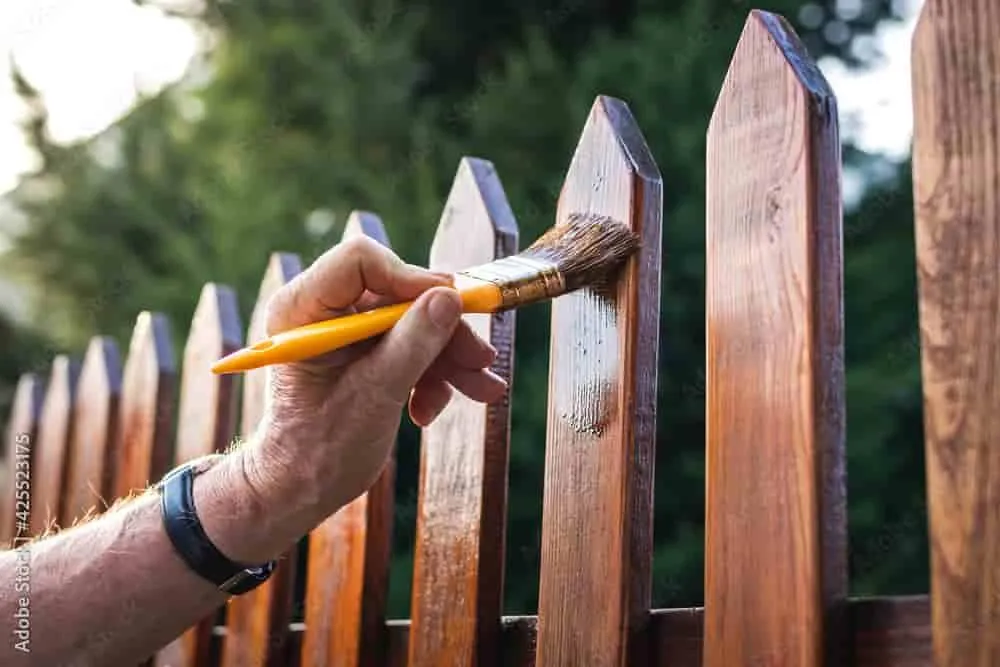 Fence Staining Services