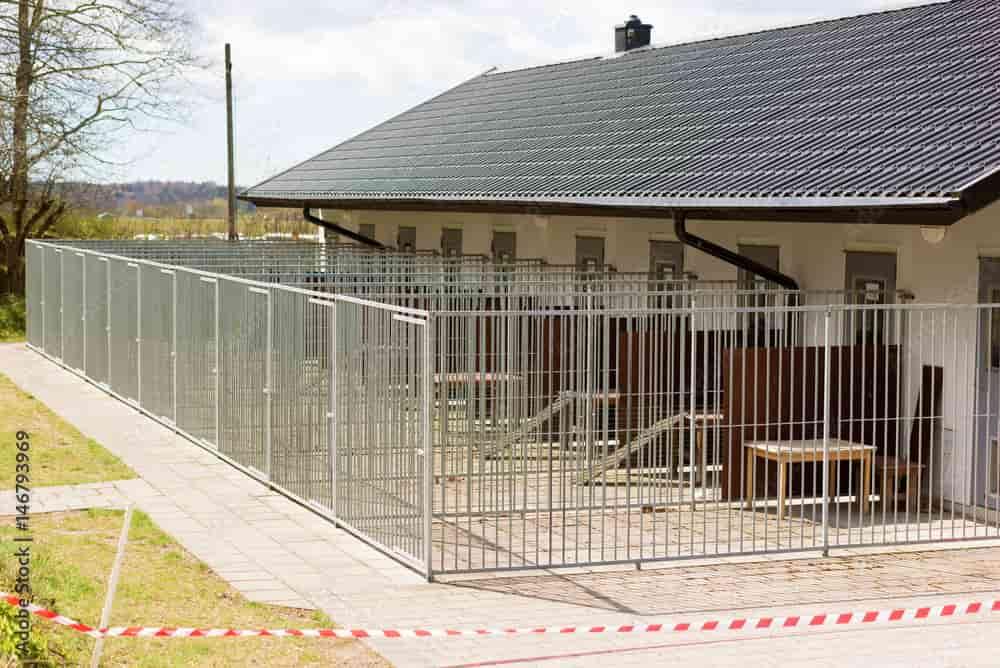 Dog Fence Services