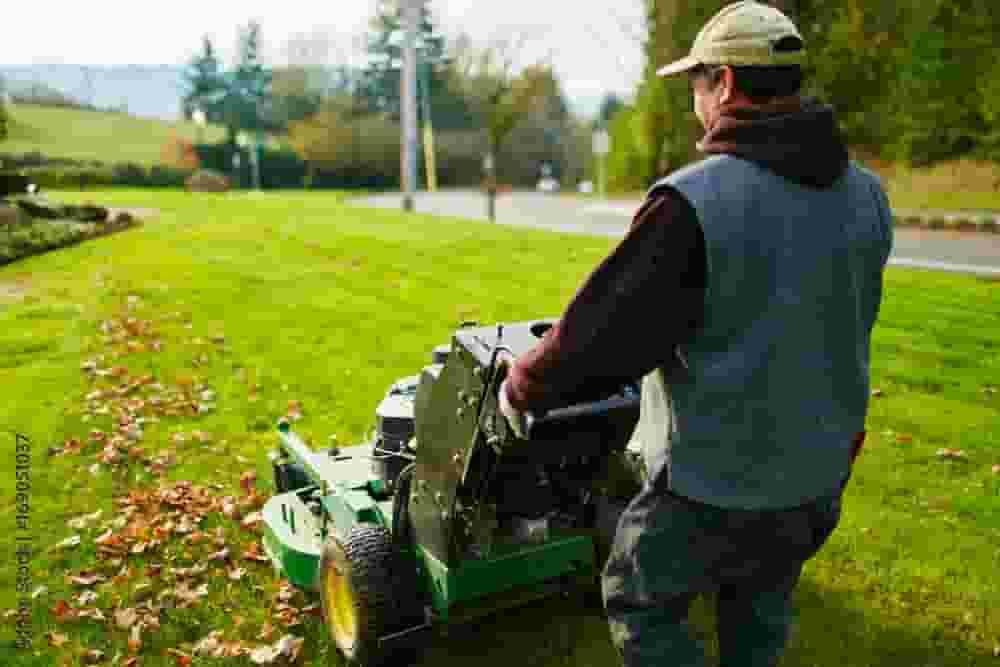 Lawn Mowing Services