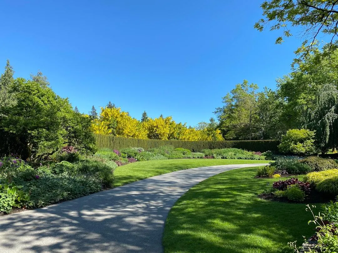 A Fresh Cut Lawn by The Little Lawn Co. - Lawn Mowing Services 