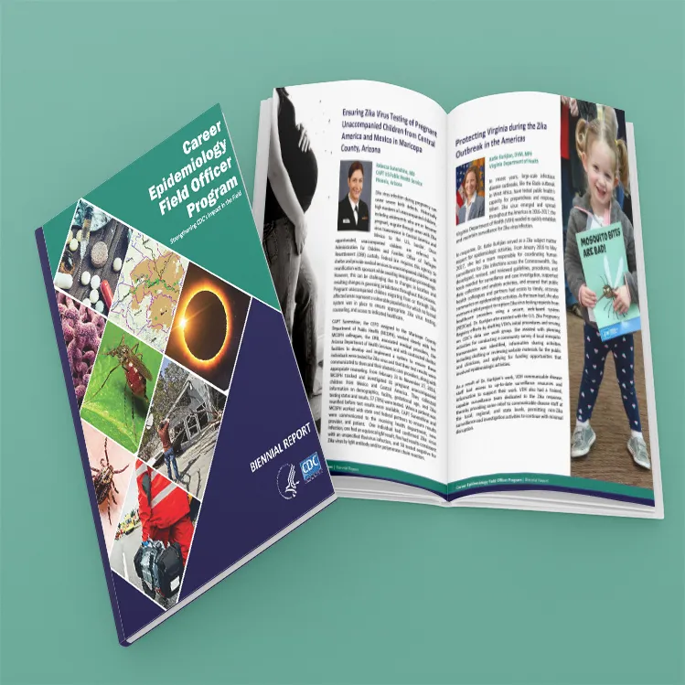 HelloChristiana Portfolio - WCAG 508 Compliance projects