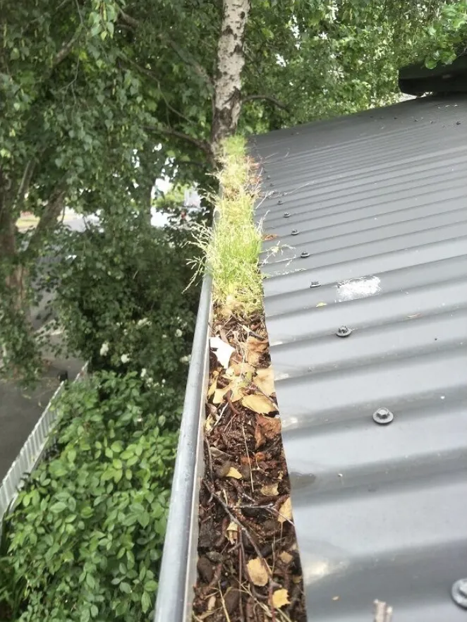 Property Maintenance Ellenbrook