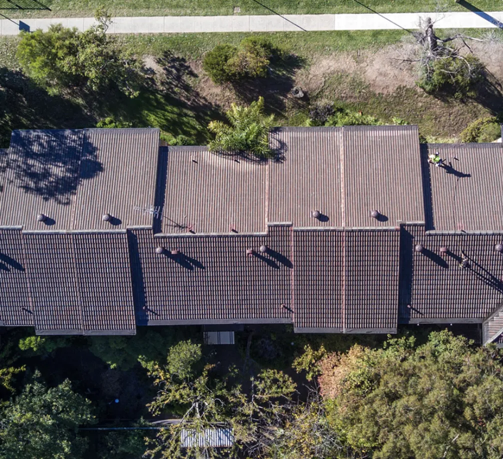 yard cleaning services ellenbrook