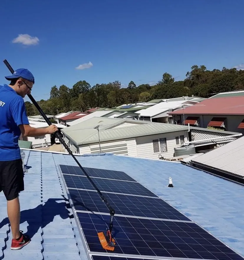 yard cleaning services ellenbrook