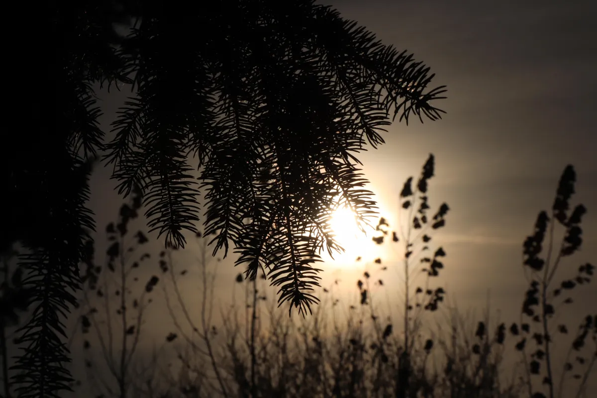 a snow covered mountain with a blue sky in the background