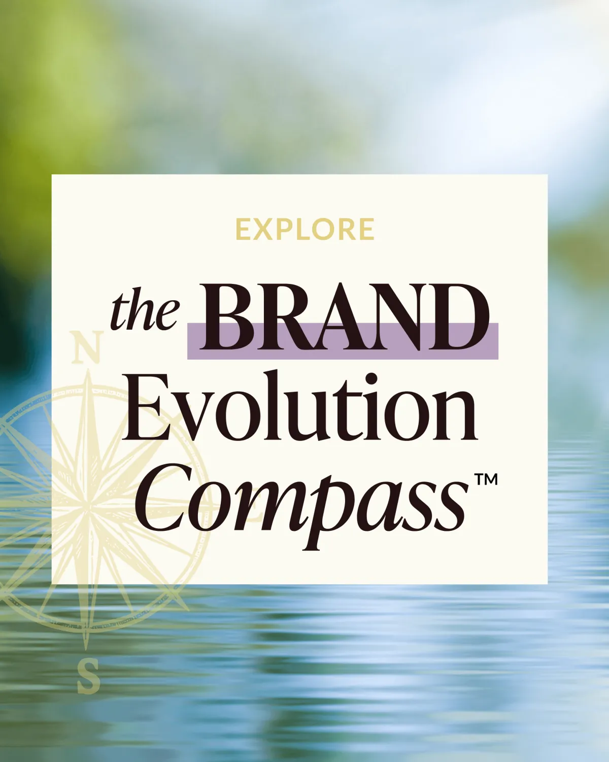 Explore the Brand Evolution Compass