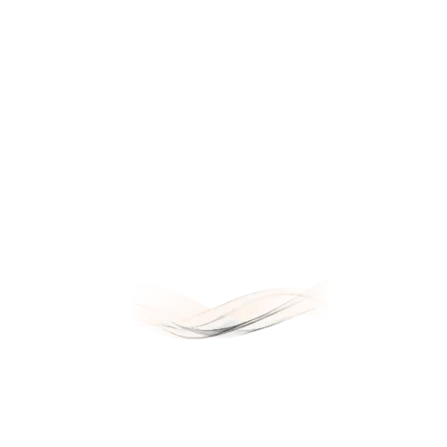 Holly Neighbours Shop