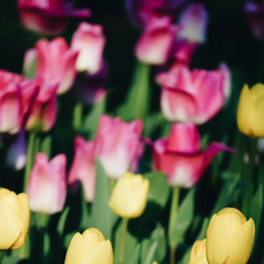 Life After Loss: What Growth Really Looks Like