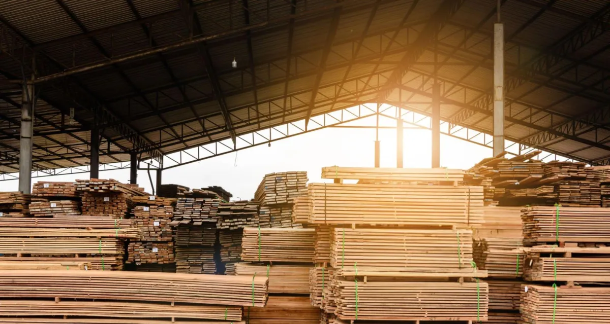 Greenie Mountain Lumber Yard in Lajara has the highest quality lumber.