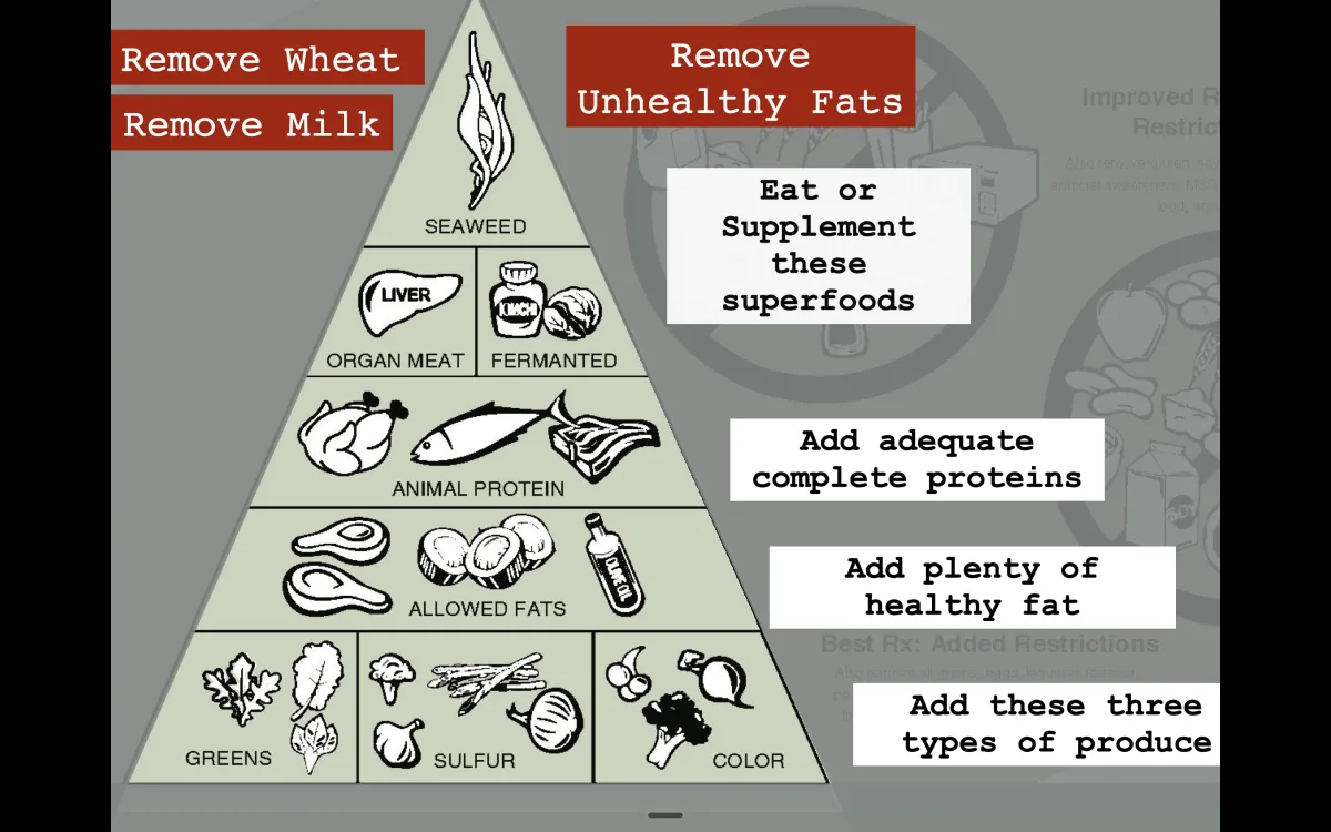 How to Feed a Brain: The Ins and Outs of Brain Nutrition