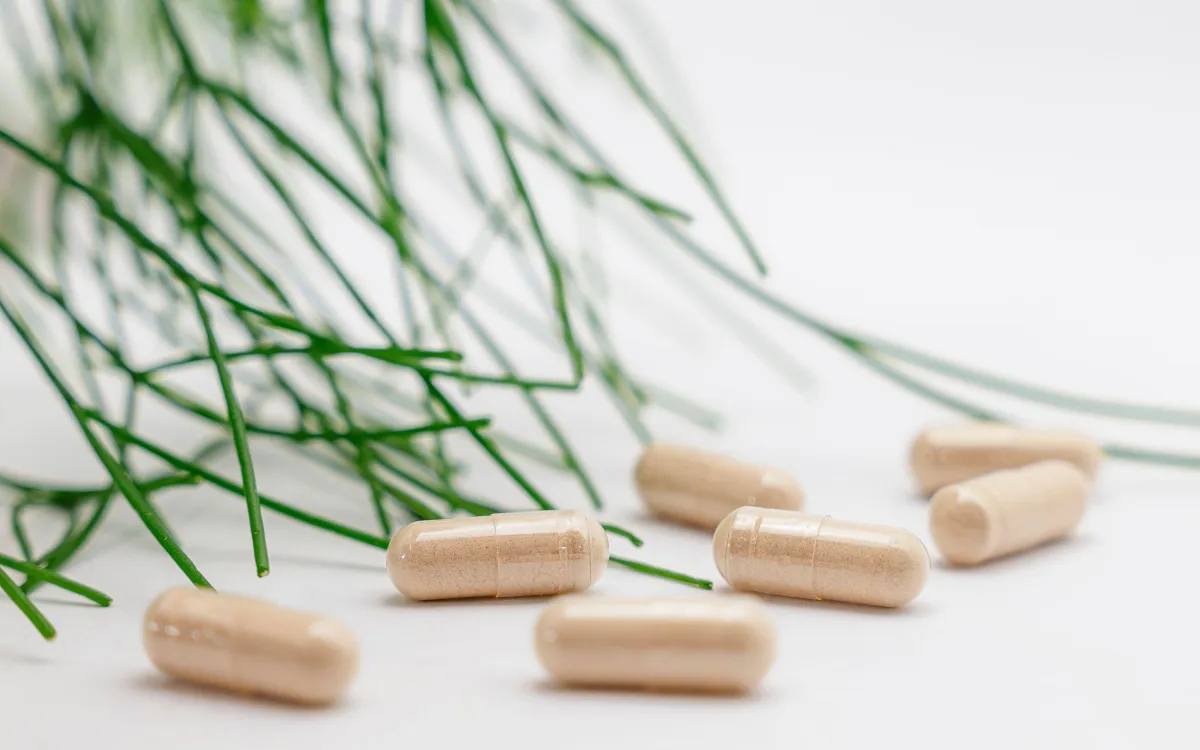NAC for Bacterial Infection