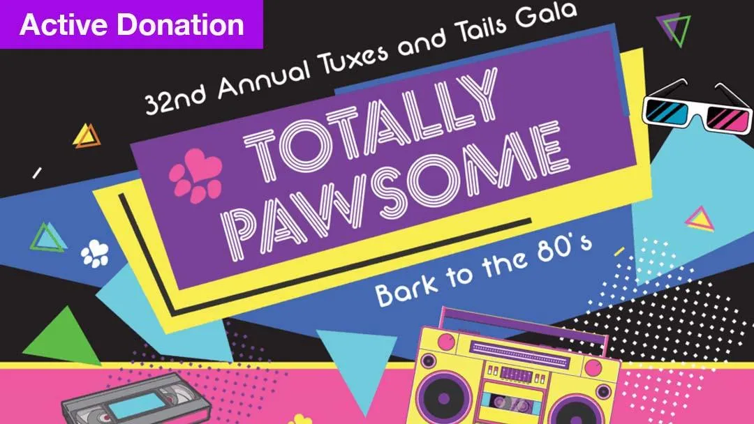 A graffiti-covered, abandoned train car.