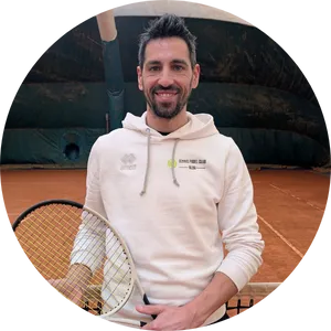 a tree filled with lots of green leaves