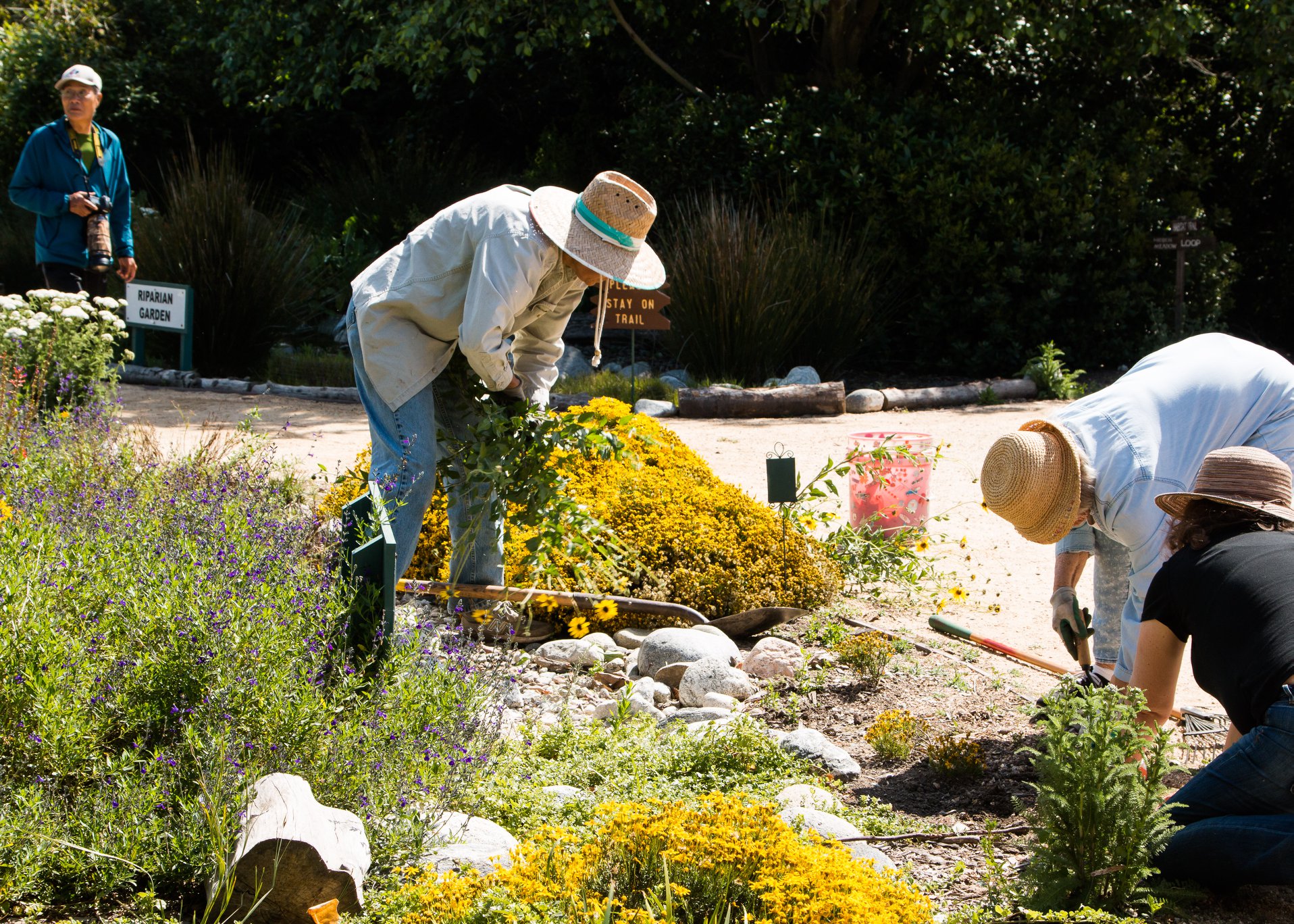 Discover Coastal Nature at Shipley Nature Center – Huntington Beach, CA 🌿🌊
