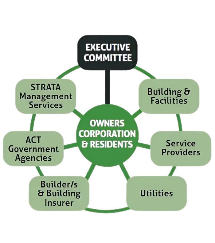 Graphic showing what we do for owners and executive committees when providing Facilities Management Canberra Strata Connex 