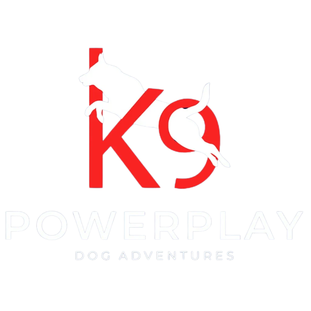 K9 PowerPlay Logo