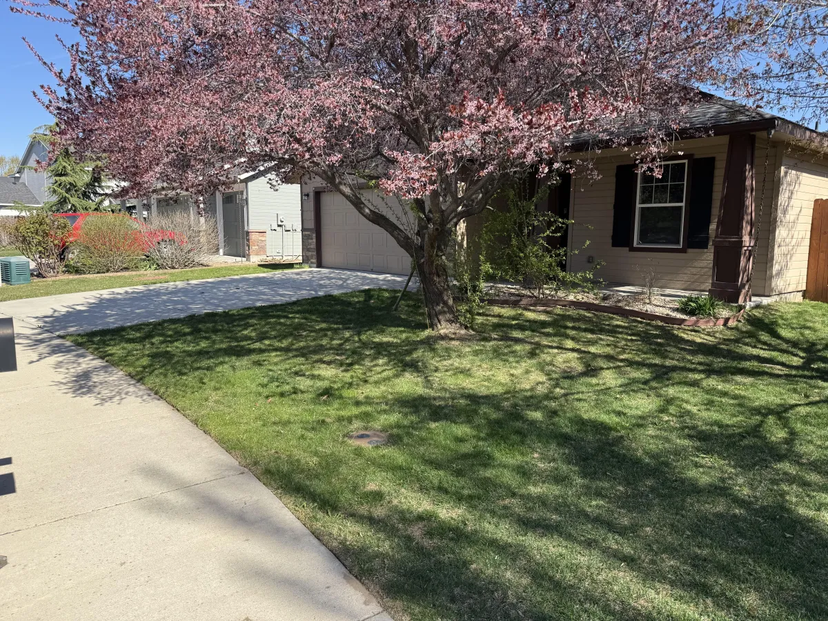 Yard Mowing Meridian I