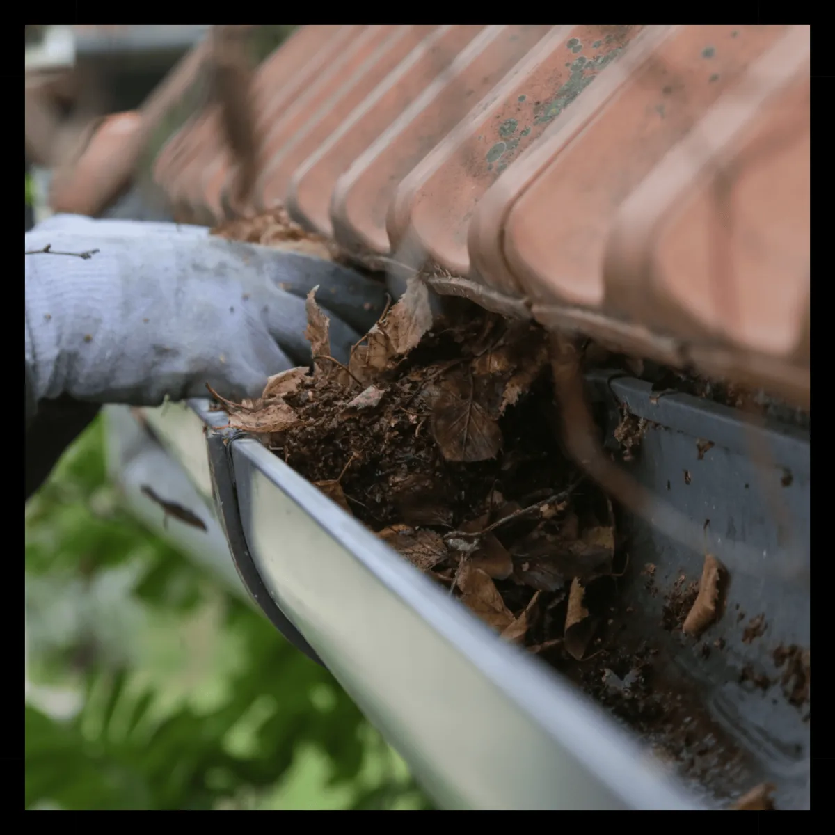 Gutter Cleaning in Glasgow