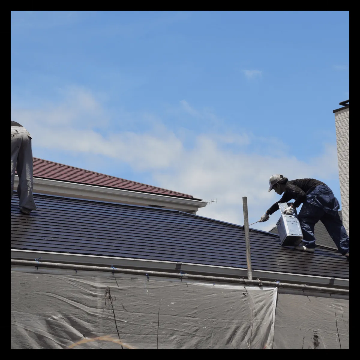Hamilton Roof Cleaning