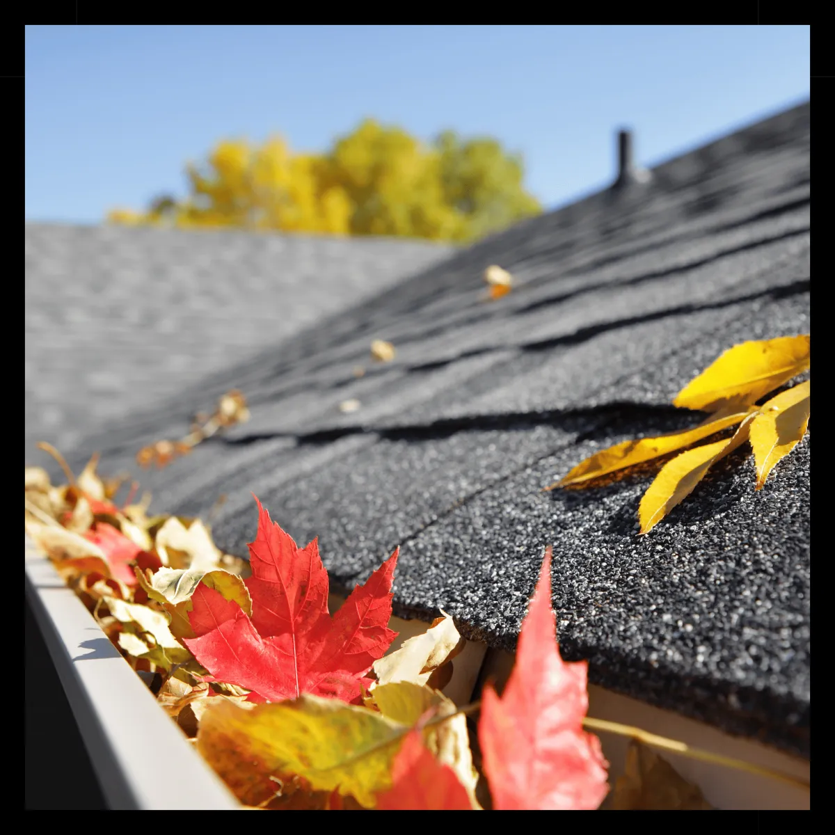 Hamilton Gutter Cleaning